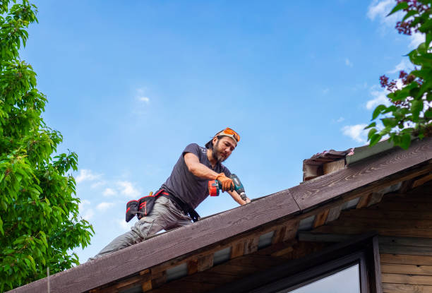 Best Chimney Flashing Repair  in Farmington, IL